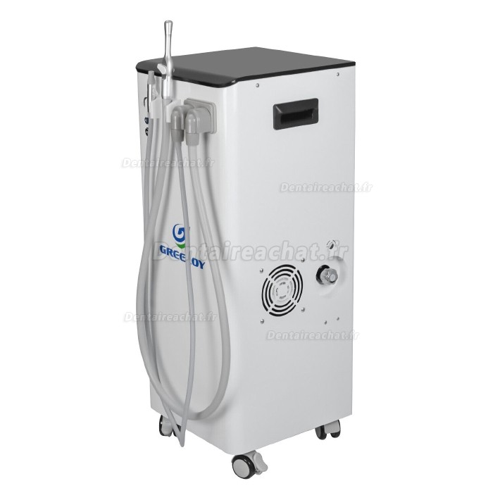 GREELOY® GSM-400 aspirateur salive dentiste 400L/min 400W